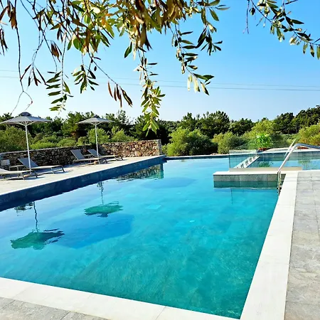 Olivista - Live In Nature 3* Astris