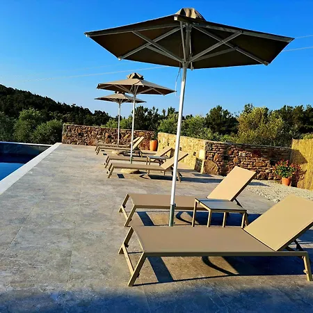 Olivista - Live In Nature