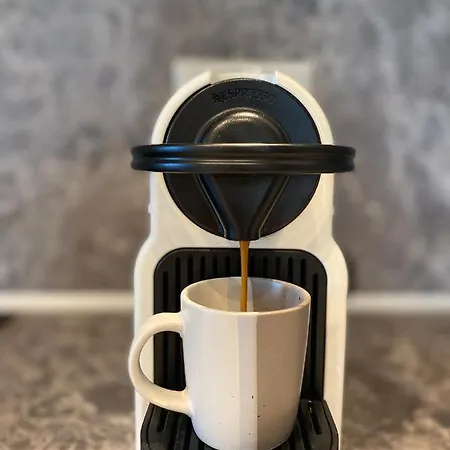 Olivista - Live In Nature