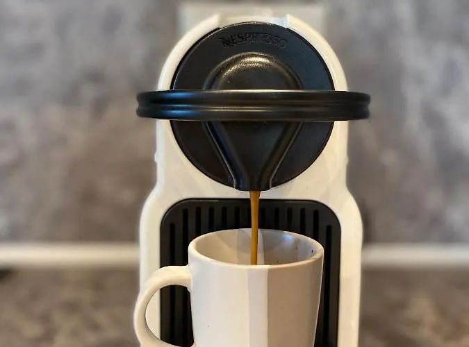 Olivista - Live In Nature