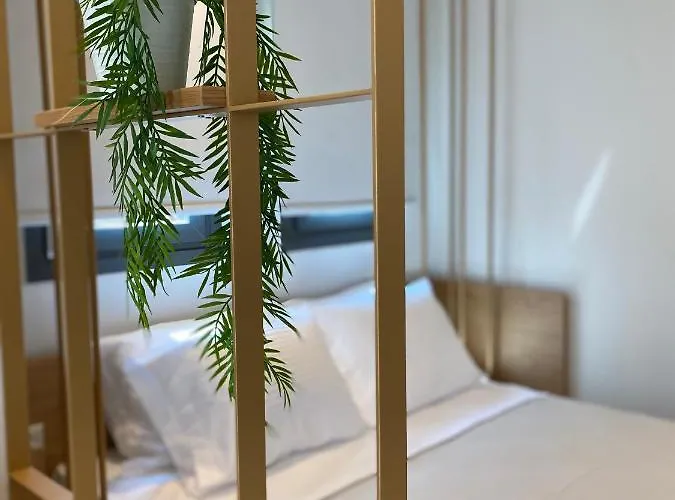 Olivista - Live In Nature