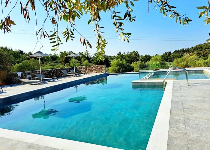 Olivista - Live In Nature 3* Astris