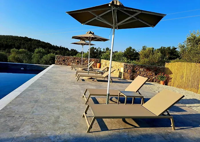 Olivista - Live In Nature